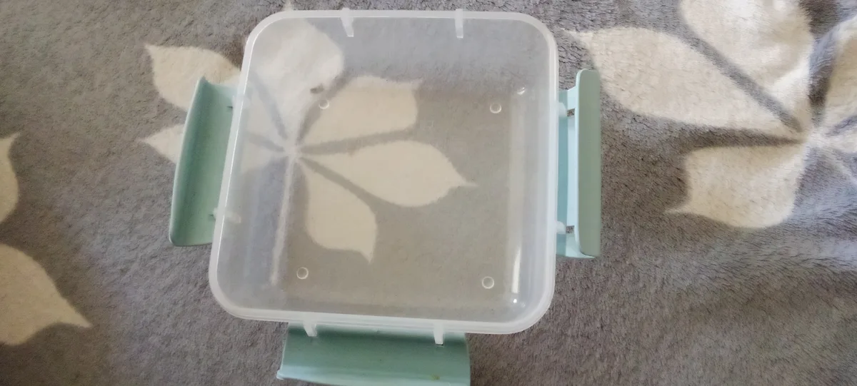 Clear plastic food container with a lid and side clips